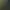 Purpose-Grown Paper – Tree, 30 million fibres per gram
